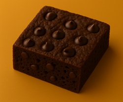 Chocolate Chip Happens to a Brownie